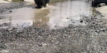 Jalan Desa Lubuk Suli Rusak Parah, Warga Harap Perbaikan Terealisasi di 2026