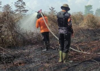 Darurat Karhutla, Ancaman Lahan Gambut Mengintai di Muaro Jambi