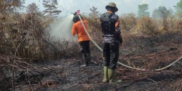Darurat Karhutla, Ancaman Lahan Gambut Mengintai di Muaro Jambi