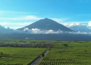 BEM Nusantara Tolak Perpanjangan HGU Kebun Teh Kayu Aro