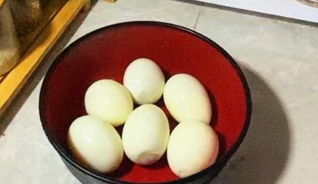 Konsumsi Telur Setiap Hari, Sumber Gizi Murah dengan Manfaat Besar