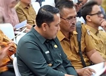 Dukung Irigasi dan Alsintan, Peluang Investasi Pertanian di Kabupaten Merangin Kian Menarik