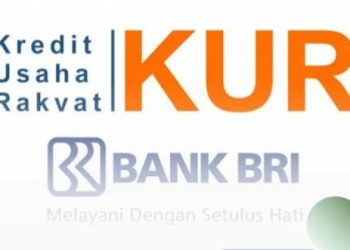 KUR 2026: Penyaluran Meningkat, Pertumbuhan Melambat, Alarm Risiko atau Peluang Baru bagi UMKM?