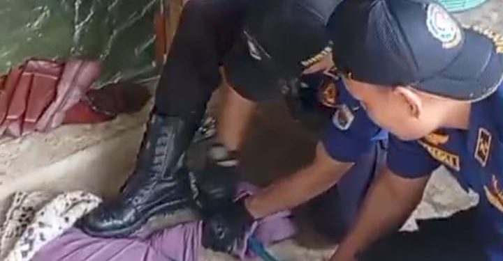 Masuk ke Pemukiman Warga, King Cobra 3 Meter Berhasil di Evakuasi Petugas Damkar 