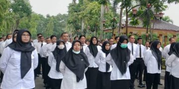 Tenaga Honorer di data Ulang 2026, Ini Penjelasan Lengkapnya