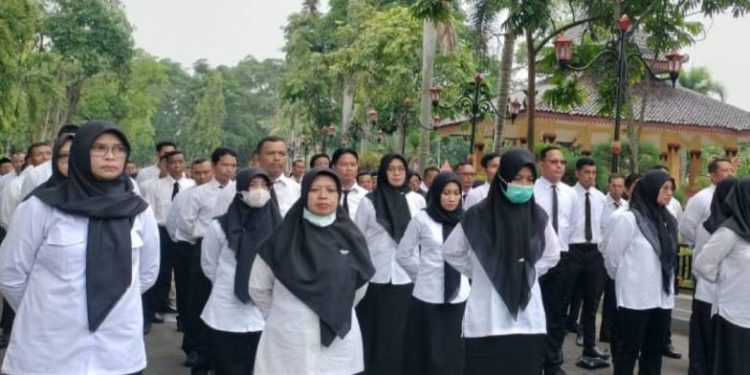 Tenaga Honorer di data Ulang 2026, Ini Penjelasan Lengkapnya