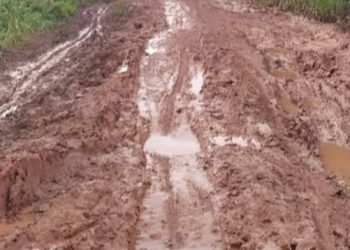 Memprihatinkan! Jalan Rusak di Kumpeh Kian Parah, Pemerintah Diminta Jangan Tutup Mata