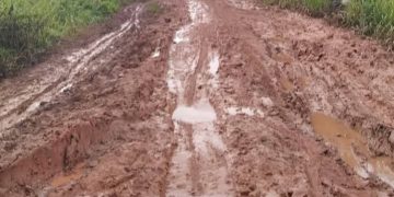 Memprihatinkan! Jalan Rusak di Kumpeh Kian Parah, Pemerintah Diminta Jangan Tutup Mata