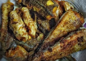 Konsumsi Ikan Gabus Setiap Hari, Lihat Manfaat Makan Ikan untuk Tubuh Lebih Kuat