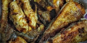 Konsumsi Ikan Gabus Setiap Hari, Lihat Manfaat Makan Ikan untuk Tubuh Lebih Kuat