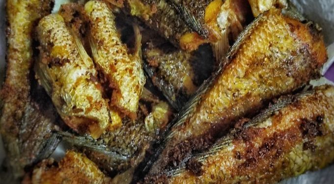 Konsumsi Ikan Gabus Setiap Hari, Lihat Manfaat Makan Ikan untuk Tubuh Lebih Kuat