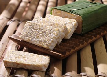 Rahasia Khasiat Tempe: Superfood Lokal untuk Imun dan Pencernaan