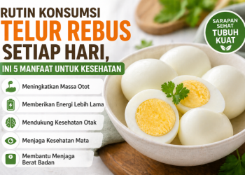 Rutin Konsumsi Telur Rebus Setiap Hari, Ini 5 Manfaat untuk kesehatan 