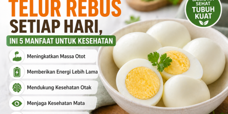 Rutin Konsumsi Telur Rebus Setiap Hari, Ini 5 Manfaat untuk kesehatan 
