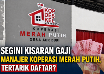 Penasaran Gaji Manajer Koperasi Merah Putih Berapa? Ini Kisaran dan Syarat Daftarnya