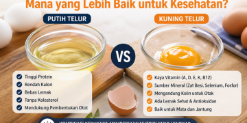 Kandungan Putih Telur dan Kuning Telur: Mana yang Lebih Baik untuk Kesehatan?