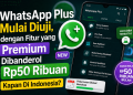 WhatsApp Plus Mulai Diuji, dengan Fitur yang Premium Dibanderol Rp50 Ribuan, Kapan Di Indonesia?