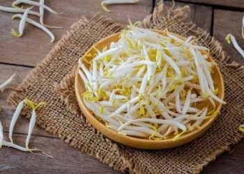 Jangan Sepelekan Toge! Ini Manfaat Luar Biasa untuk Kesehatan 