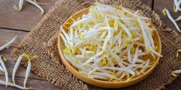 Jangan Sepelekan Toge! Ini Manfaat Luar Biasa untuk Kesehatan 