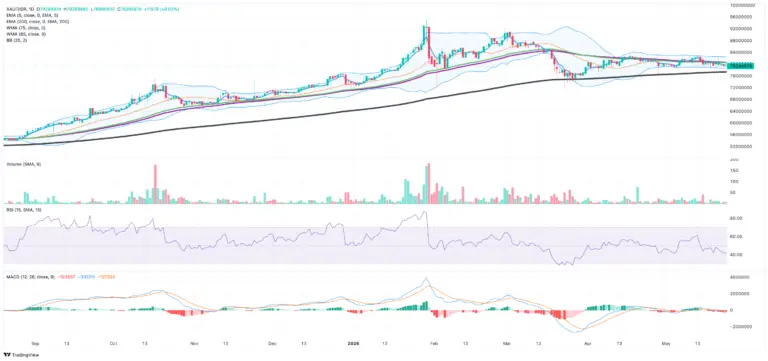Market Signal Kripto 2026