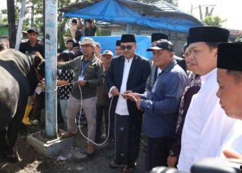 Wako Alfin dan Wawako Azhar Serahkan Bantuan Sapi Kurban Presiden di Sungai Penuh