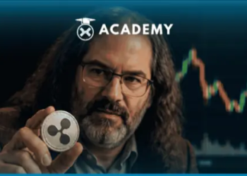 David Schwartz Bongkar Isi Portofolio Crypto, Fokus ke XRP