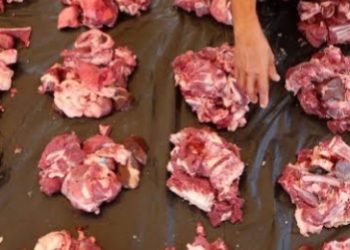 Daging Kurban bisa Tetap Segar dan Tahan Lama, Ini Cara Menyimpan