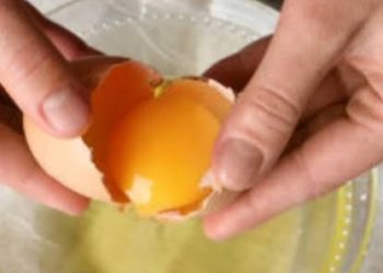 Putih vs Kuning Telur, Mana yang Lebih Sehat? Ini Penjelasannya