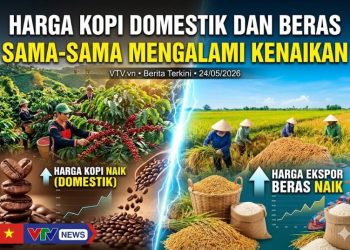 Harga kopi Domestik dan beras sama-sama mengalami kenaikan.