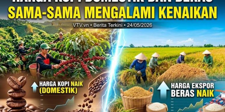 Harga kopi Domestik dan beras sama-sama mengalami kenaikan.