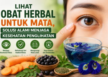 Lihat Obat Herbal untuk Mata, Solusi Alami Menjaga Kesehatan Penglihatan