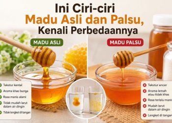 Ini Ciri-ciri Madu Asli dan Palsu, Kenali Perbedaannya