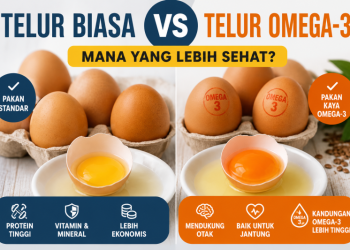 Telur Biasa VS Telur Omega-3, Mana yang Lebih Sehat?
