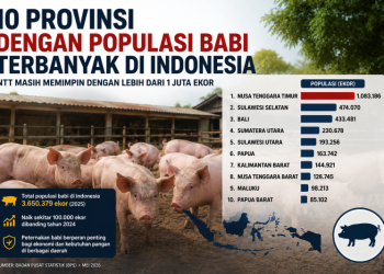 10 Provinsi dengan Populasi Babi Terbanyak di Indonesia