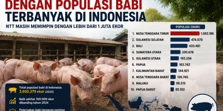 10 Provinsi dengan Populasi Babi Terbanyak di Indonesia