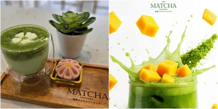 10 Rekomendasi Cafe Bandung untuk Pecinta Matcha