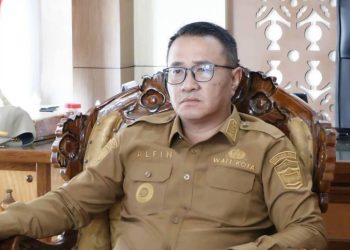 Alfin Dorong Kepastian Status PPPK Penuh dan Paruh Waktu