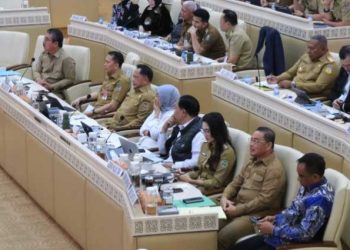 PPPK Paruh Waktu Berpeluang Beralih Status Menjadi Penuh Waktu
