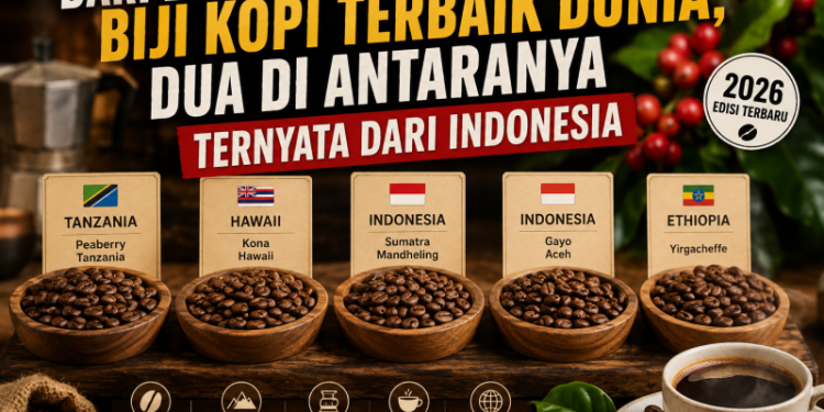 Dari Lima Biji Kopi Terbaik Dunia, Dua Di Antaranya Ternyata dari Indonesia