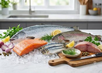 Ikan Miliki Sumber Protein Cocok untuk Kesehatan dan Tips memilih ikan sehat