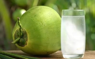 Ini Waktu Terbaik Minum Air Kelapa