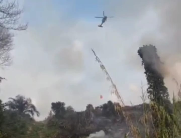 3 hektare Lahan di Tebo Terbakar