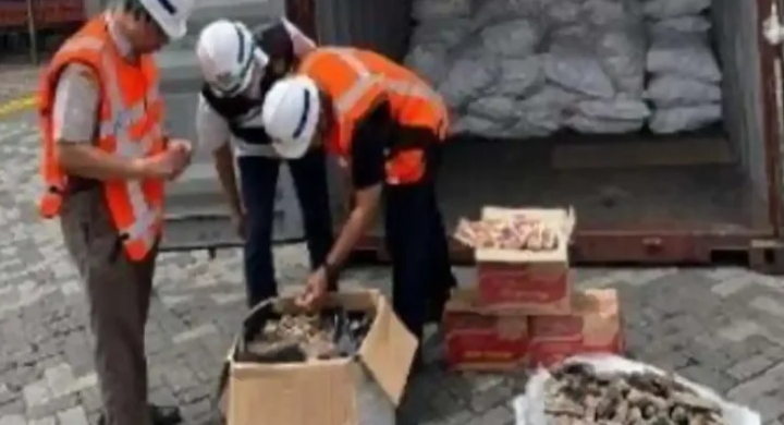 Ministry of Forestry Concludes Investigation into Smuggling of 3 Tons