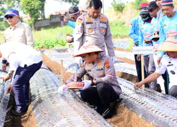 Kapolres Kerinci dan Kapolda Jambi Ikuti Penanaman Bawang Putih Serentak