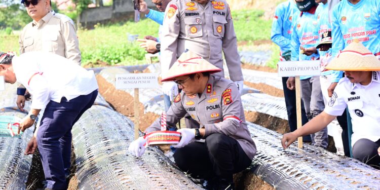 Kapolres Kerinci dan Kapolda Jambi Ikuti Penanaman Bawang Putih Serentak