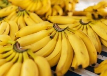 Rekomendasi Buah yang Bisa Jadi Pilihan untuk Penderita Asam Lambung