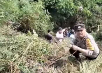 Truck Terjun Ke Jurang sedalam 30 Meter
