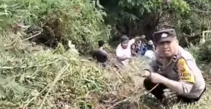 Truck Terjun Ke Jurang sedalam 30 Meter