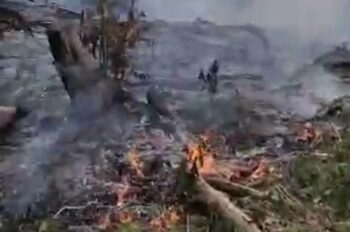 Lahan Warga desa Kemantan Tebo Terbakar