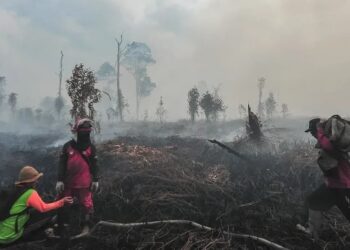Karhutla Muaro Jambi Meningkat